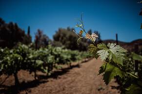 Rancho Toros Pintos