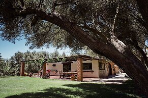Rancho Toros Pintos