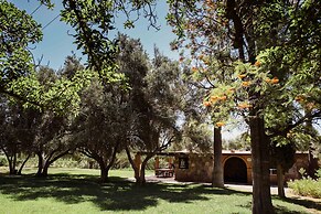 Rancho Toros Pintos