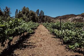 Rancho Toros Pintos