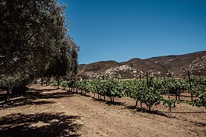 Rancho Toros Pintos