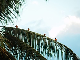 Hotel El Jardin