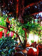 Hotel El Jardin