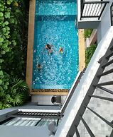 The Umbrella House