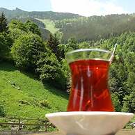 Meric Hotel
