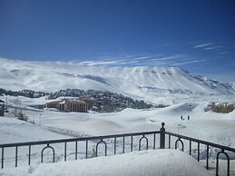Cedars Palace