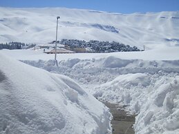 Cedars Palace