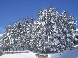 Cedars Palace