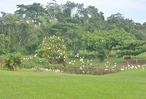 Rock Farm Guest House