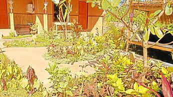 The Local Menjangan