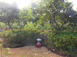 The Local Menjangan
