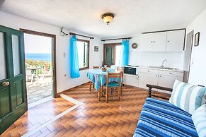 Anemone Seaside Traditional Homes