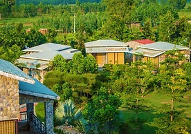 The Roar Resort
