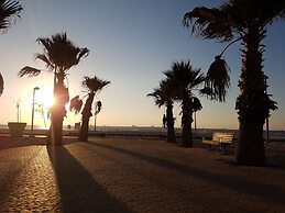 Spat Ashdod