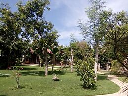 Biorock Homestay