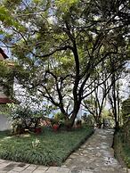 Mirabel Resort