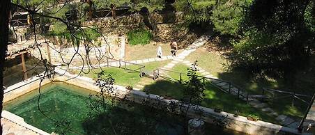 Terme Acqua Pia Wellness & SPA