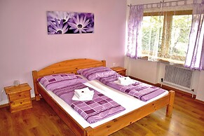 Astoria Apartments Wildschönau