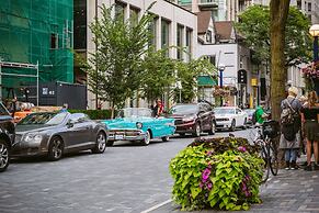 QuickStay - Luxury Executive in Yorkville (Yonge & Bloor)
