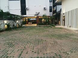Dino Studio