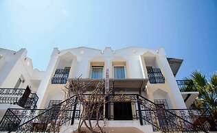 Golden Age Houses