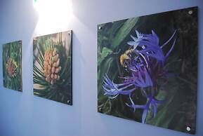 Apartaments del Meligar