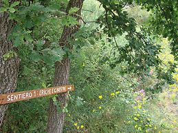 Viola nel Parco