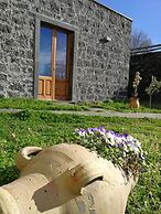 Viola nel Parco