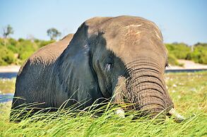 Thebe River Safaris