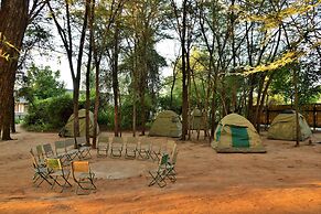 Thebe River Safaris