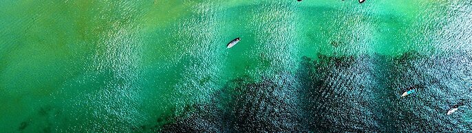 Pawapi Beach Resort