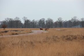 De Wapser Herberg