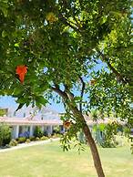 Kefi Beach and Suites