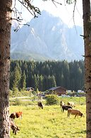 Alpin Haus