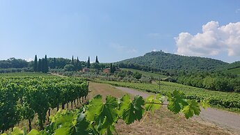 Petrolo