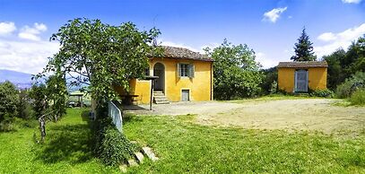 Petrolo