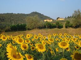 Petrolo
