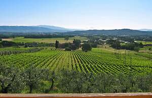 Petrolo