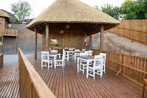 Kalahari Lion's Rest