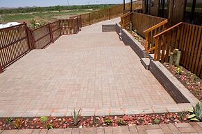 Kalahari Lion's Rest