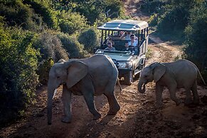 Elephants Lodge - Bellevue Forest Reserve