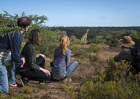 Elephants Lodge - Bellevue Forest Reserve