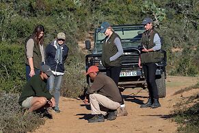 Elephants Lodge - Bellevue Forest Reserve