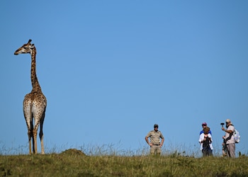 Elephants Lodge - Bellevue Forest Reserve