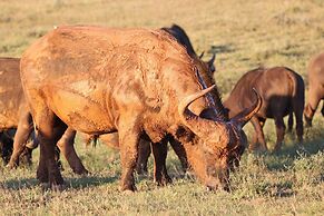 Elephants Lodge - Bellevue Forest Reserve
