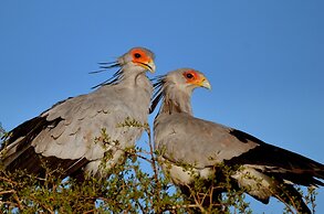 Elephants Lodge - Bellevue Forest Reserve