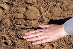 Elephants Lodge - Bellevue Forest Reserve