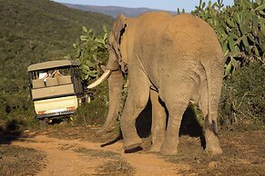 Elephants Lodge - Bellevue Forest Reserve