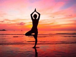 Lodge Natur Zen