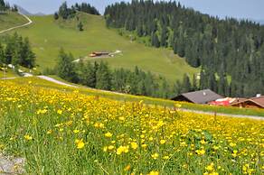 Appartement Schattauer